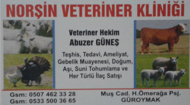 Norşin Veteriner Kliniği