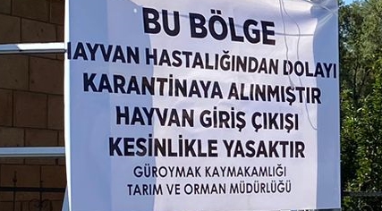 Güroymak’ta Şarbon Alarmı: Yamaç Mahallesi’nde Karantina Uygulaması Başlatıldı