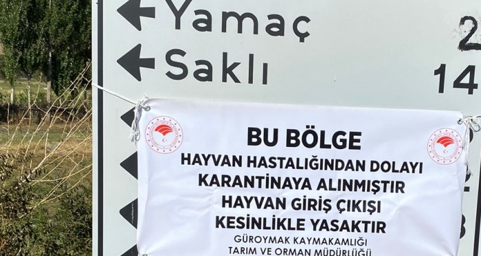 Bitlis Son Dakika Güroymak’ta Şarbon Alarmı: Yamaç Mahallesi’nde Karantina Uygulaması Başlatıldı