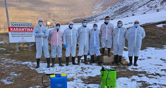 Bitlis Son Dakika Tatvan'da Şap Hastalığı Alarmı! Çanakdüzü Köyü Karantinaya Alındı